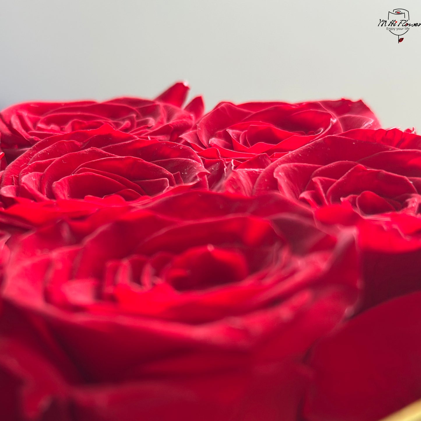 18pc red preserved rose in black heart box