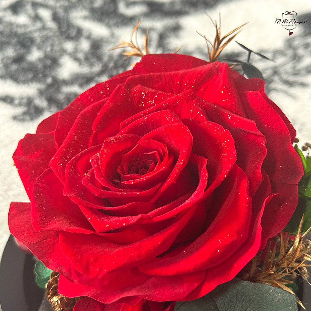 preserved rose in glass dome
