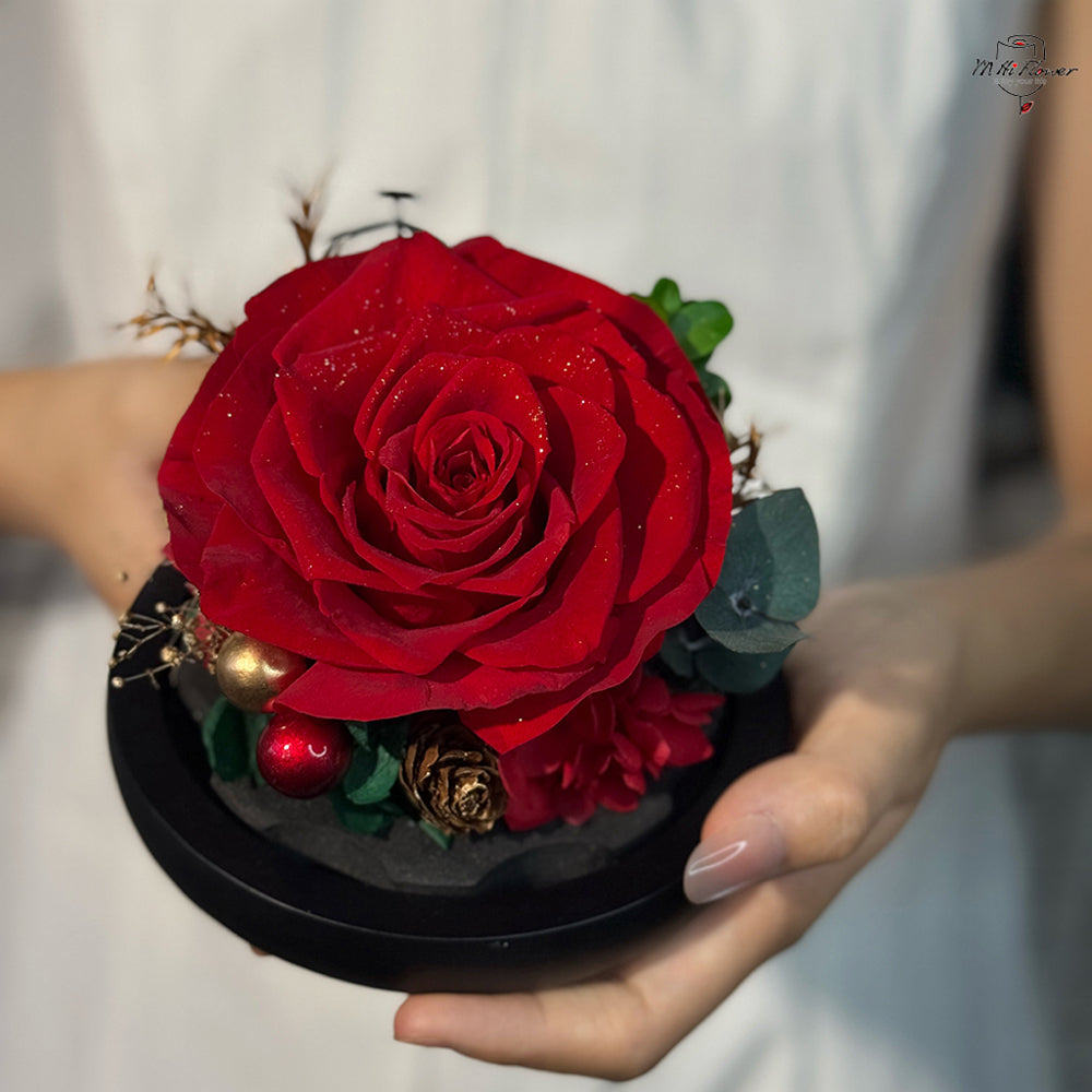 preserved rose in glass dome